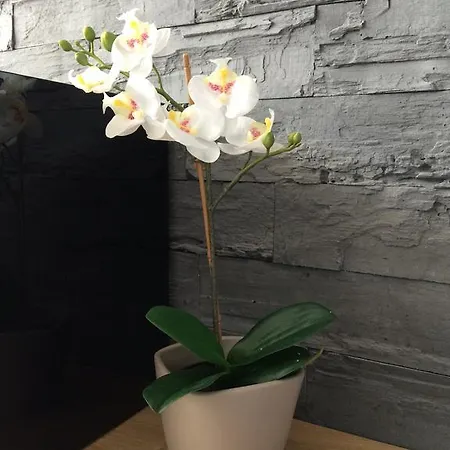 דירה Na Ogrodach *