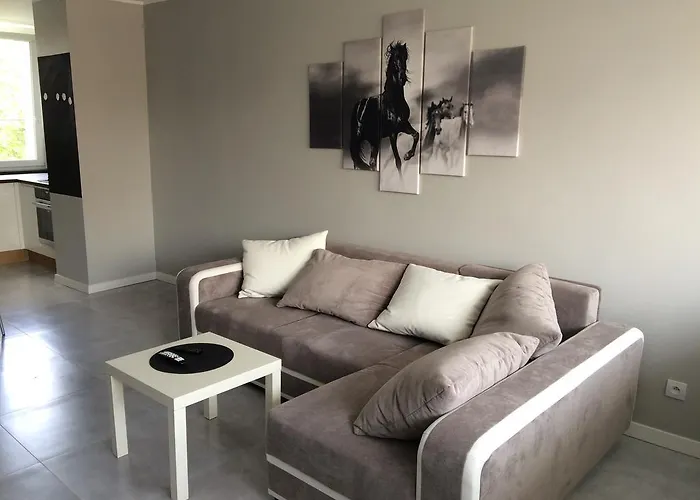 Na Ogrodach شقة بوزنان